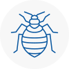 Bed Bug Extermination In Atherstone